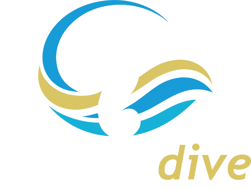 SpecialDive